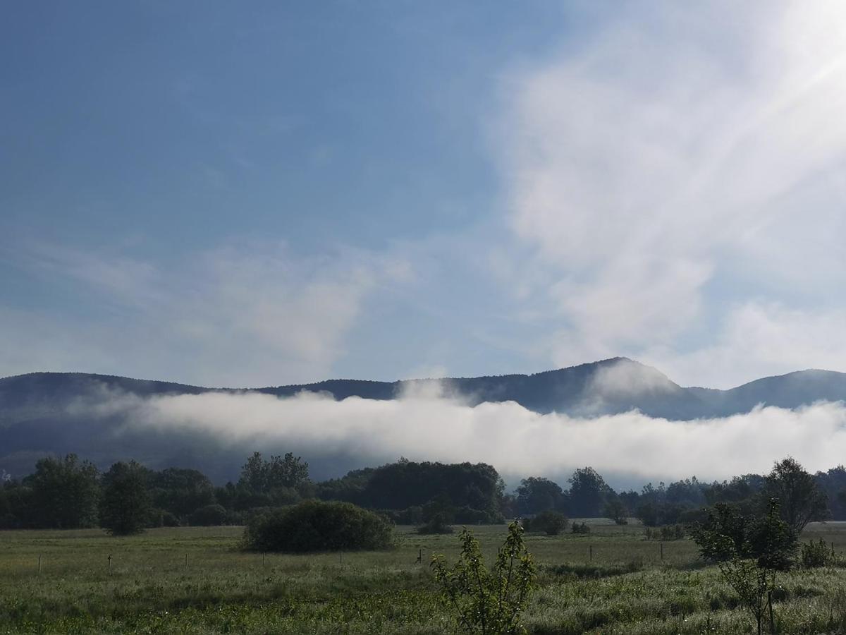 Vila Antik Ilirska Bistrica Exteriör bild